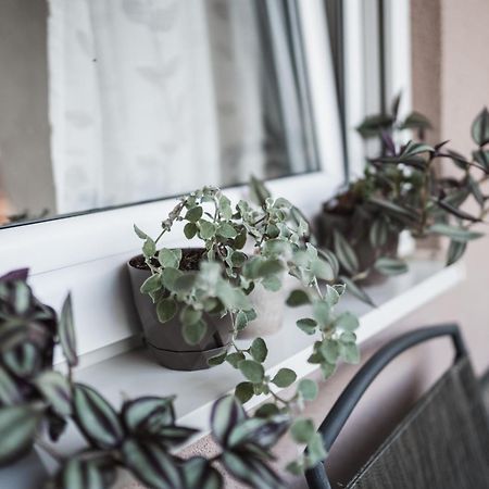 Apartman Centar Doboj Exteriör bild